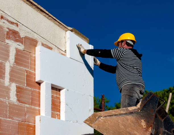 Best Insulation Maintenance and Repair in Temple Terrace, FL