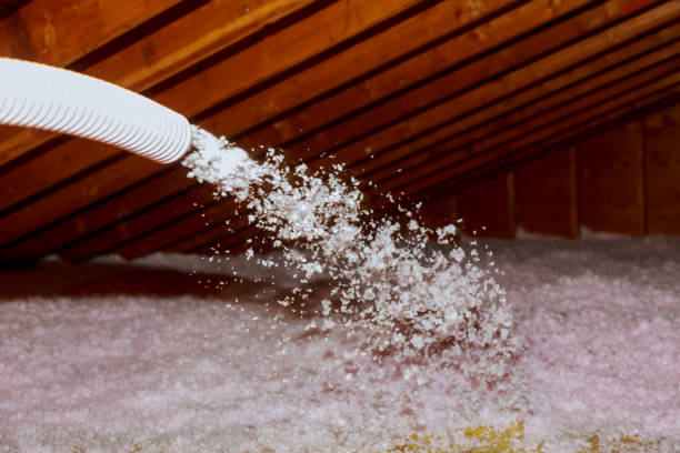 Best Residential Insulation in Temple Terrace, FL